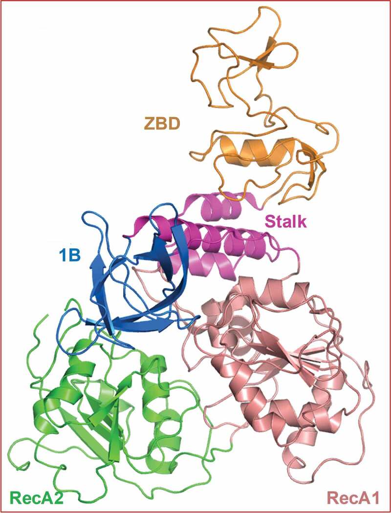 Figure 2.