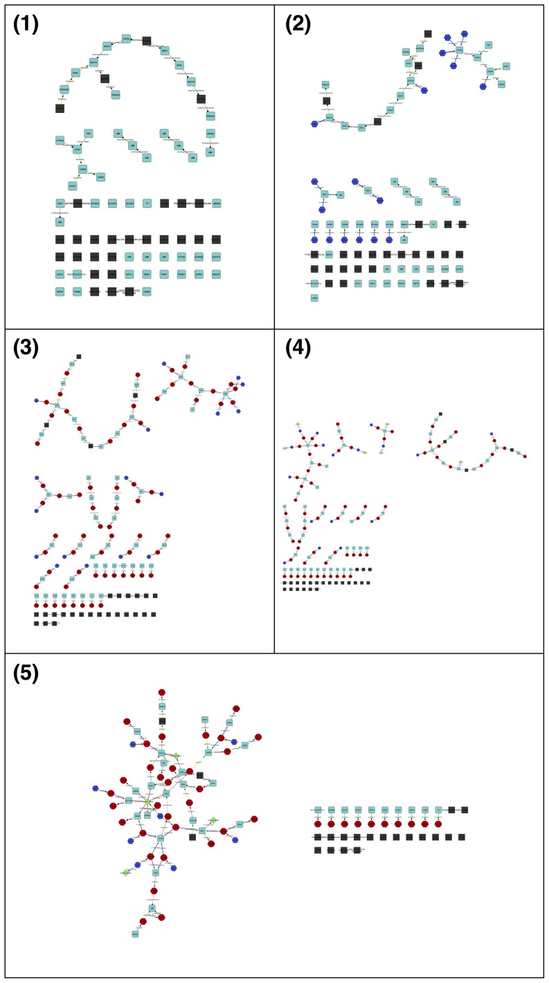 Figure 5