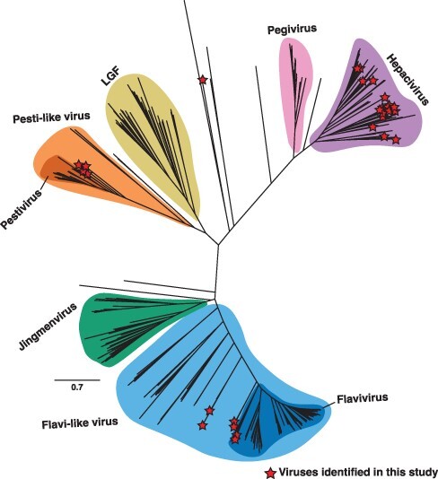 Figure 1.