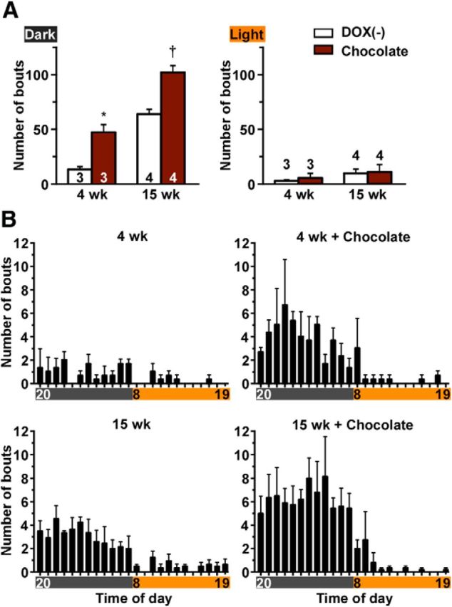 Figure 12.