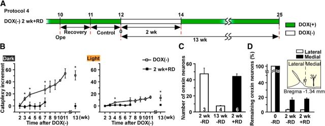 Figure 11.