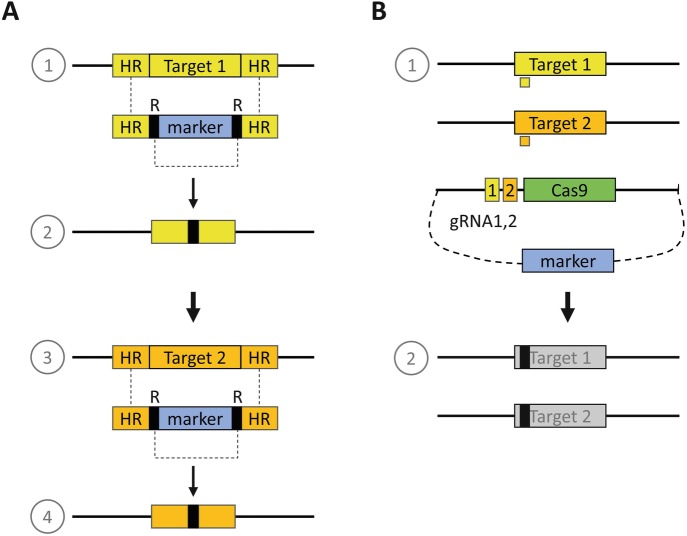 Fig. 7.4