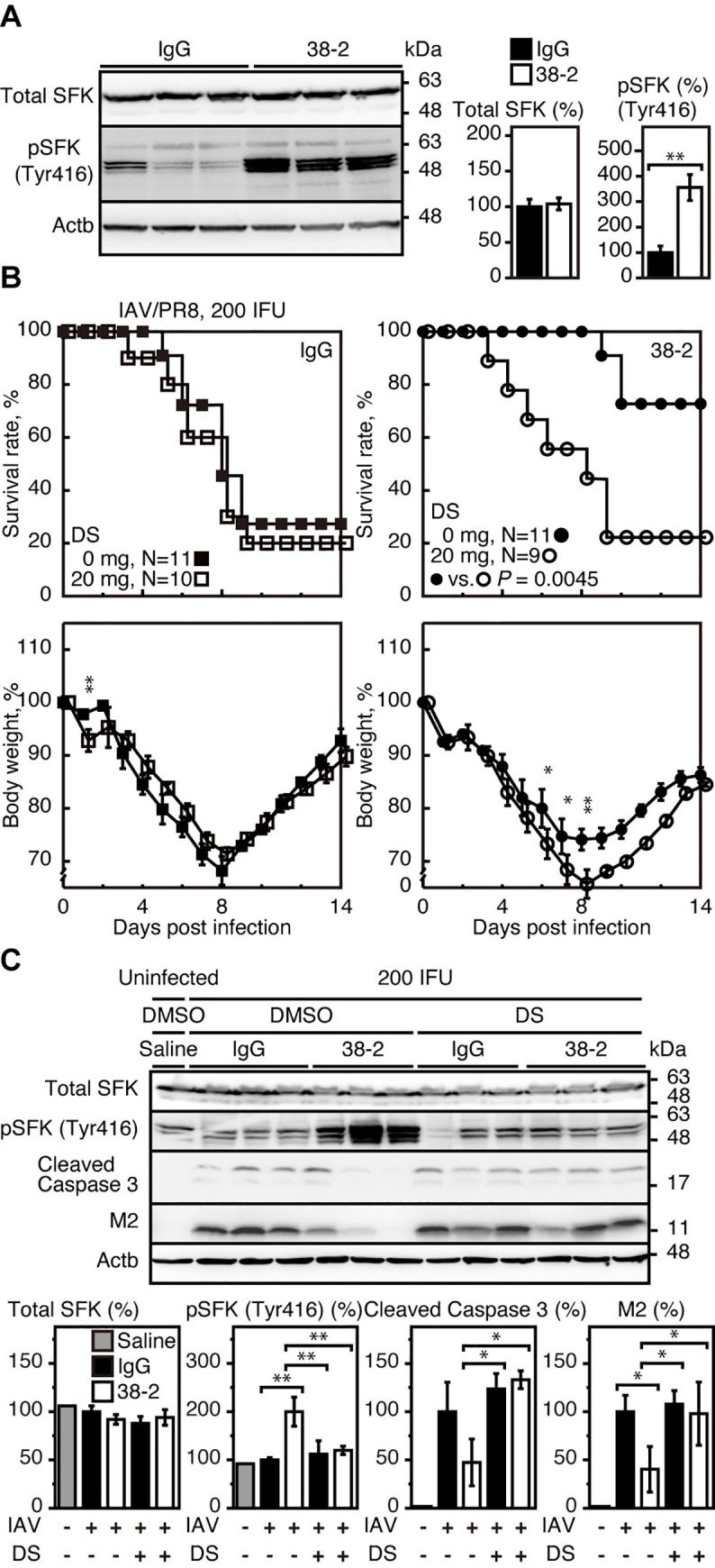 Fig 4