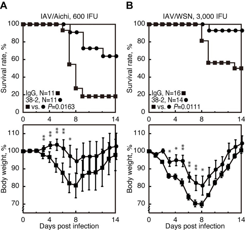 Fig 8