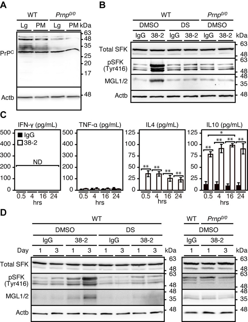 Fig 6