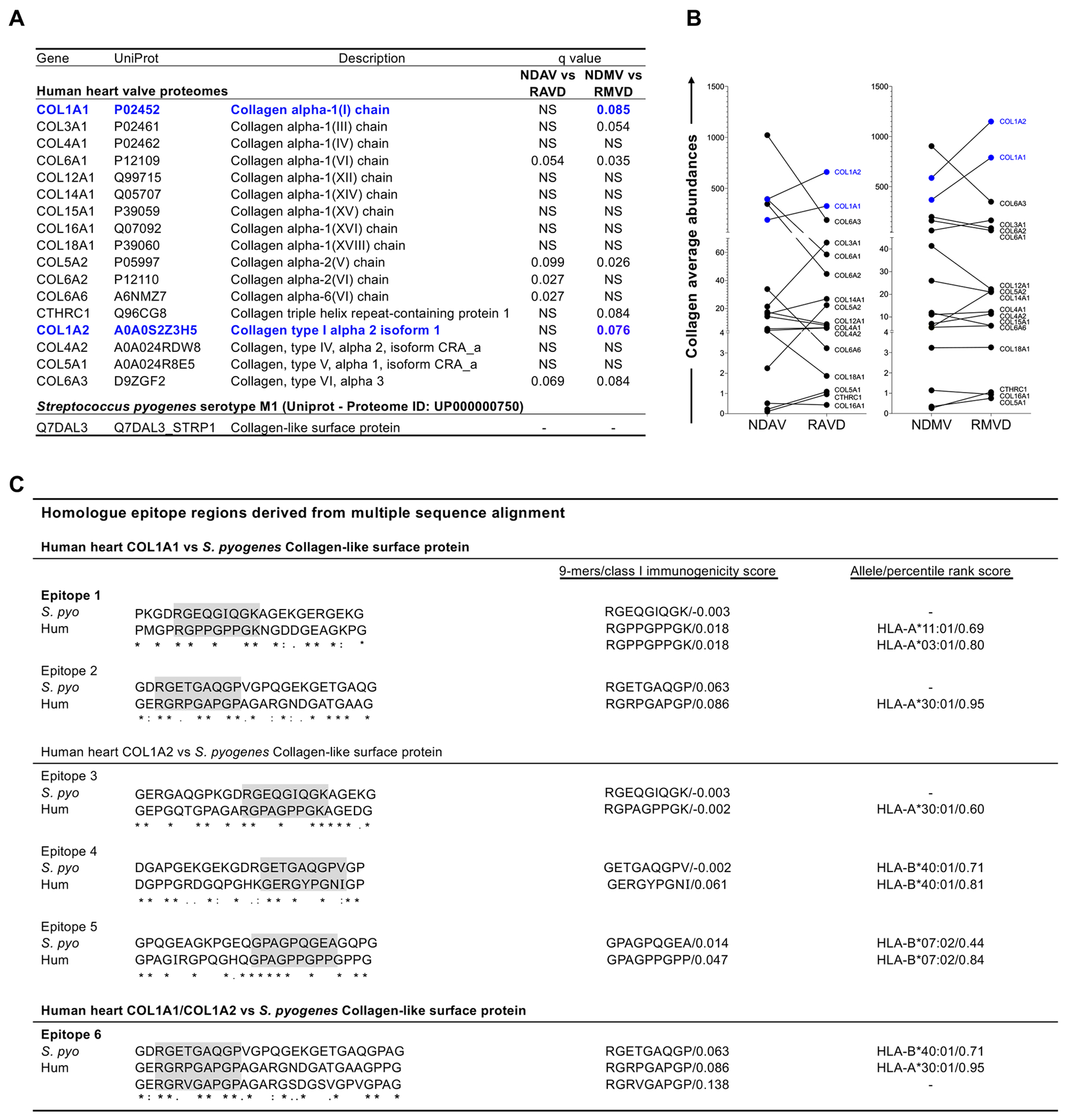 Figure 4: