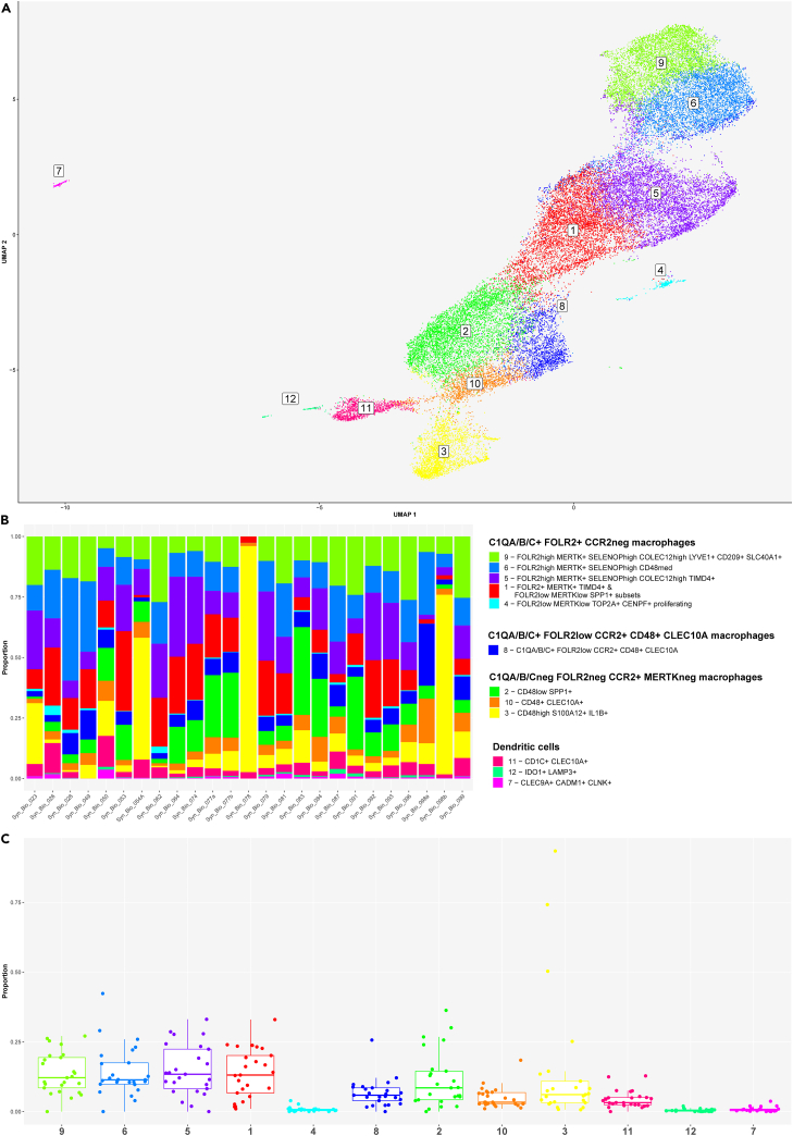 Figure 6