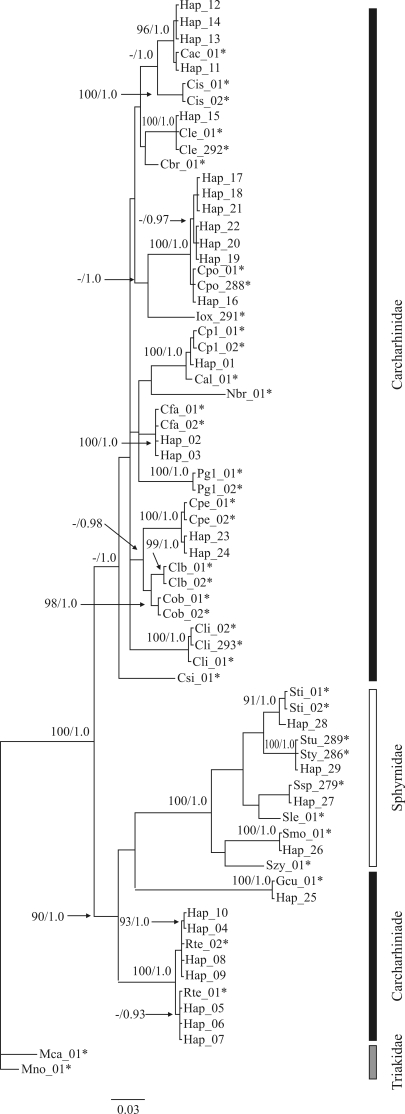 Figure 1