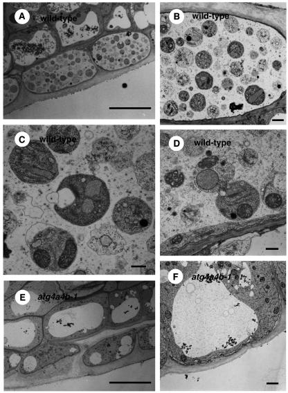 Figure 10.