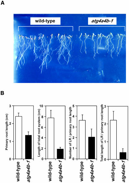 Figure 11.