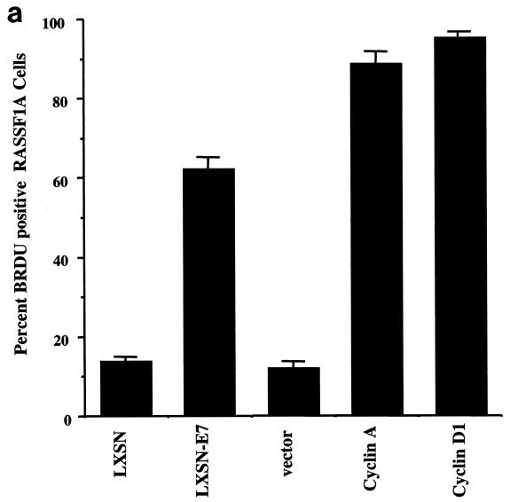 FIG.3.