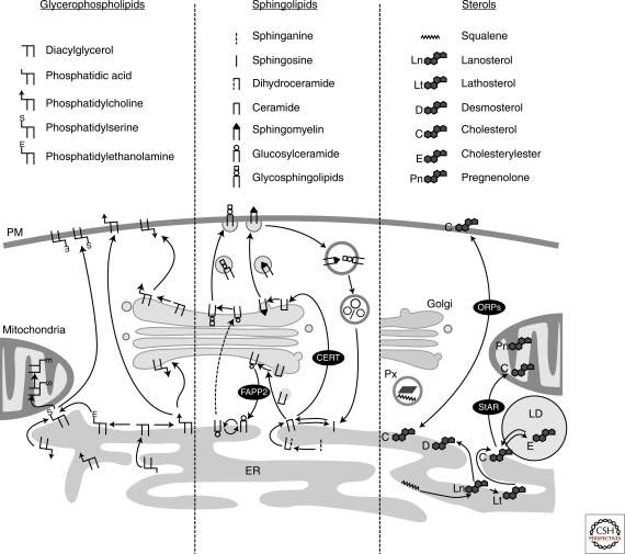 Figure 5.