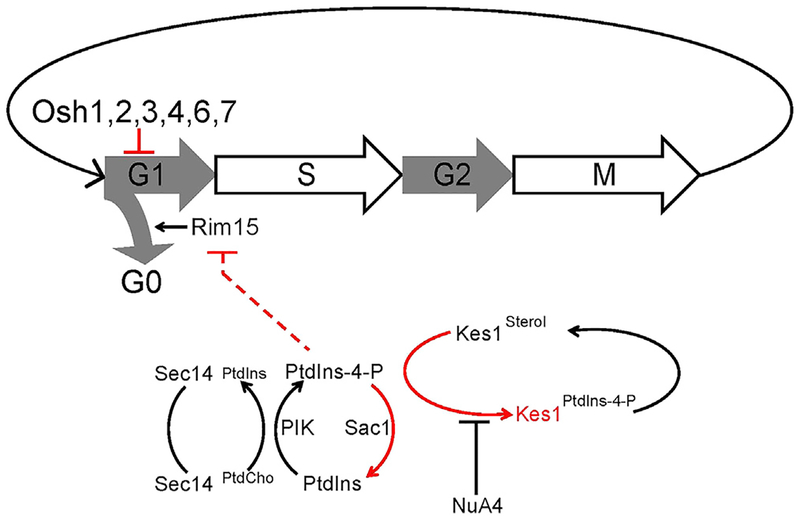 Figure 7.