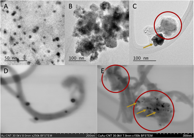 FIGURE 3