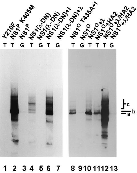 FIG. 3.