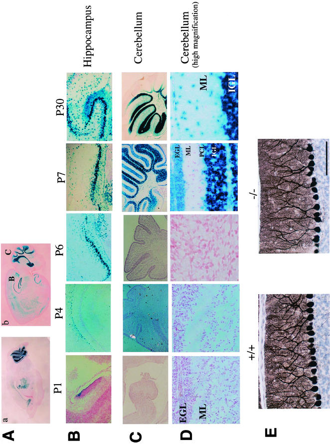 FIG.3.