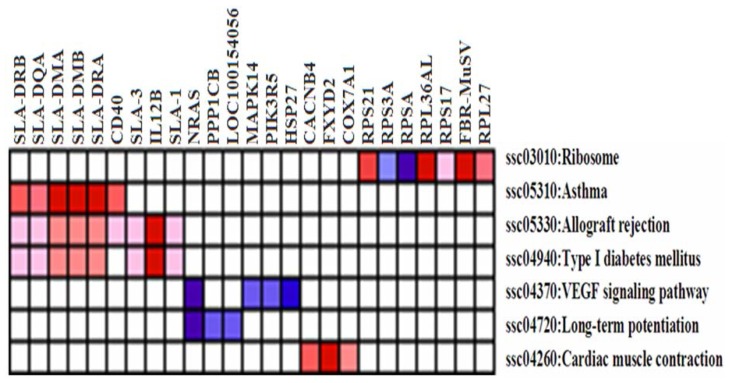 Figure 4.