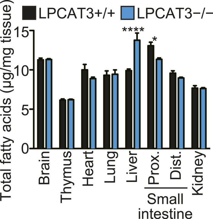 Figure 5—figure supplement 1.