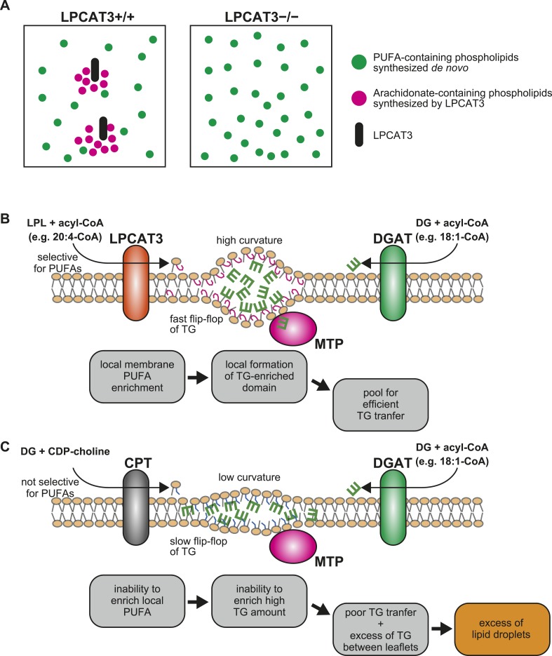 Figure 13.