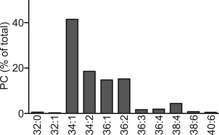 Figure 11—figure supplement 2.