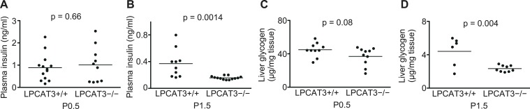 Figure 8—figure supplement 1.