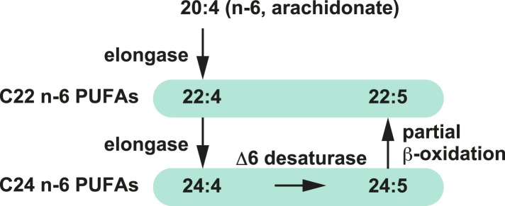 Figure 3—figure supplement 2.