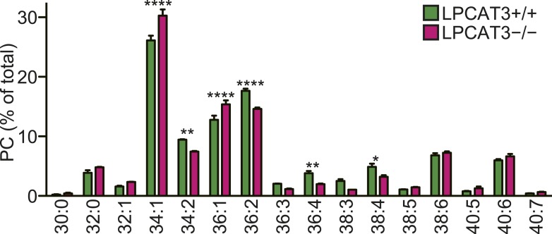 Figure 11—figure supplement 1.