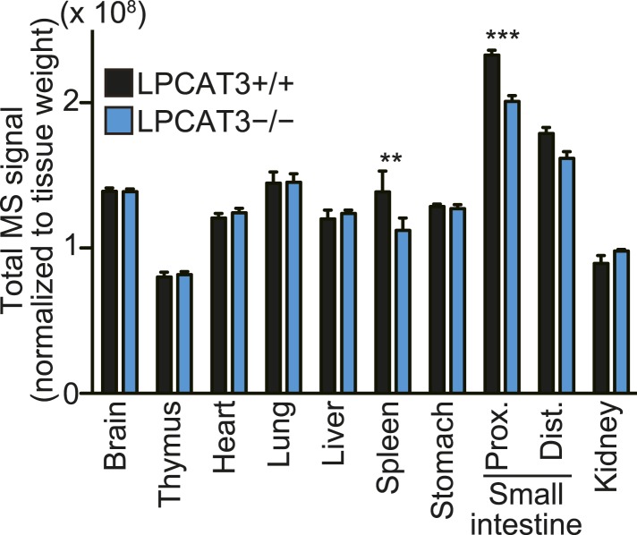 Figure 3—figure supplement 1.