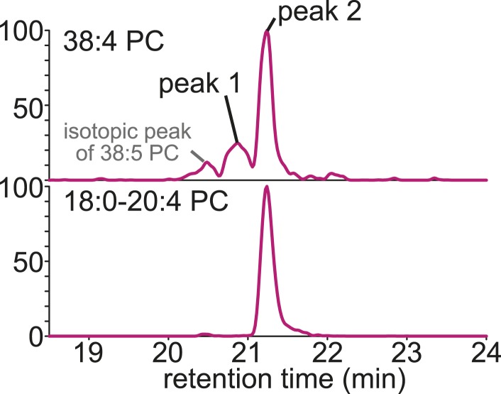 Figure 1—figure supplement 2.