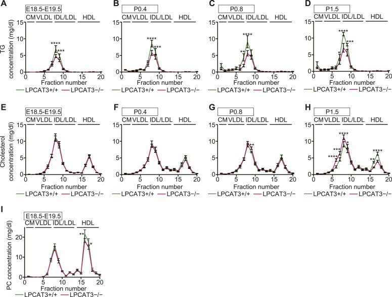 Figure 10—figure supplement 1.