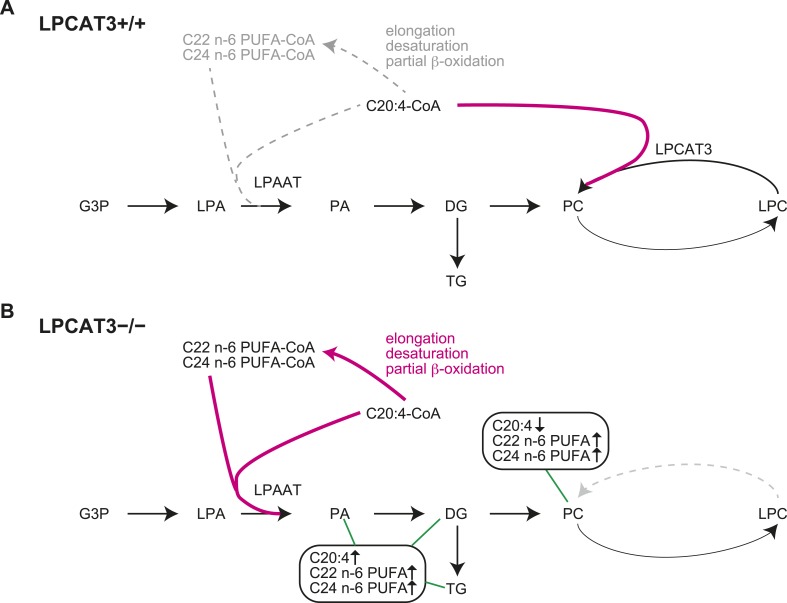 Figure 12.