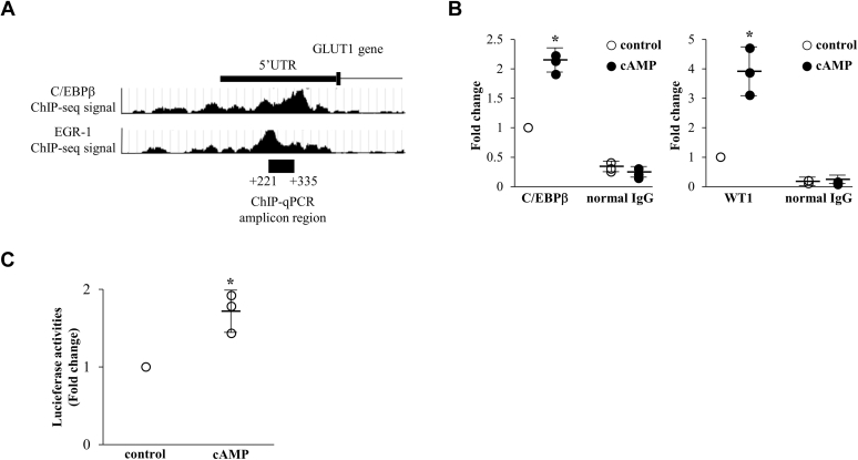 Figure 4