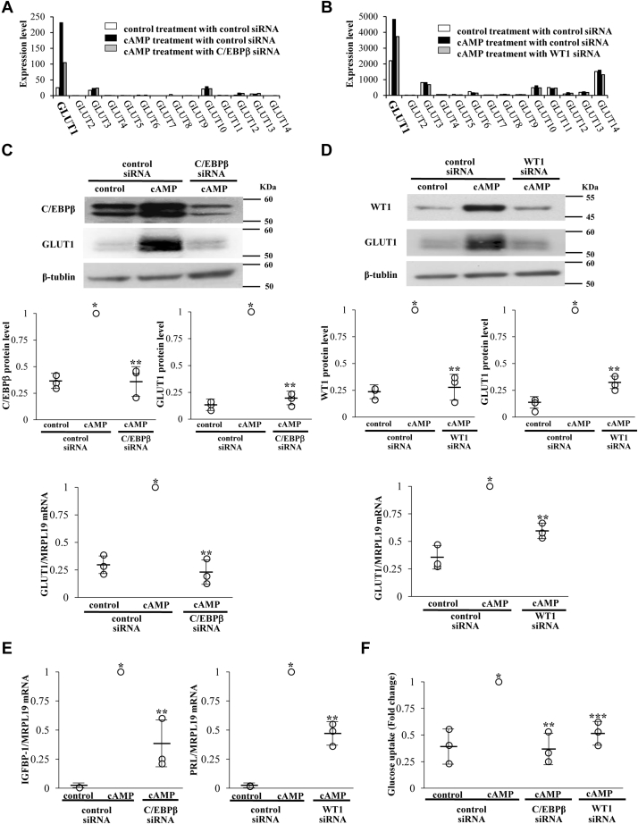 Figure 3