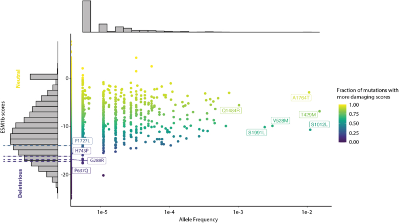 Figure 5