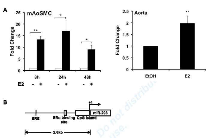 Fig3