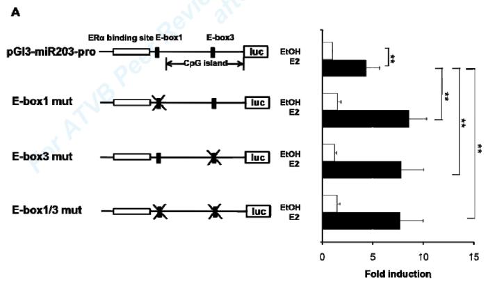 Fig5