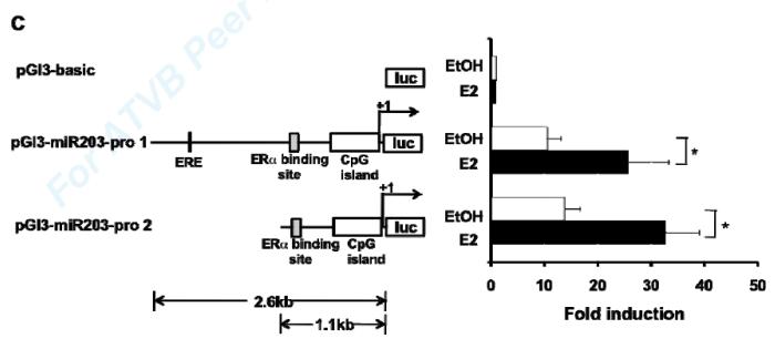 Fig3