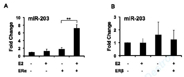 Fig2