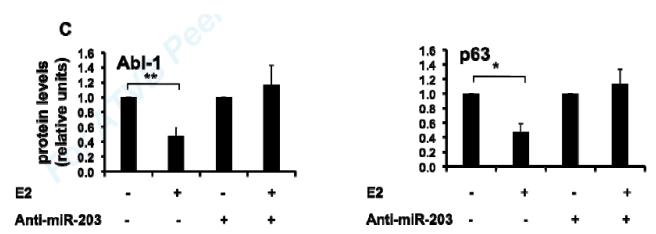 Fig6