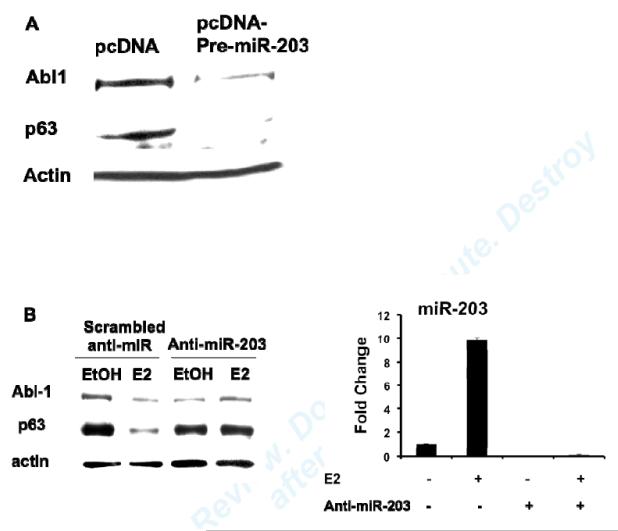 Fig6