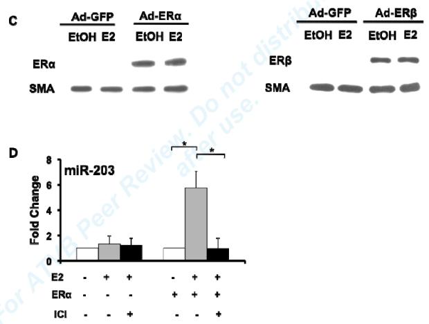 Fig2