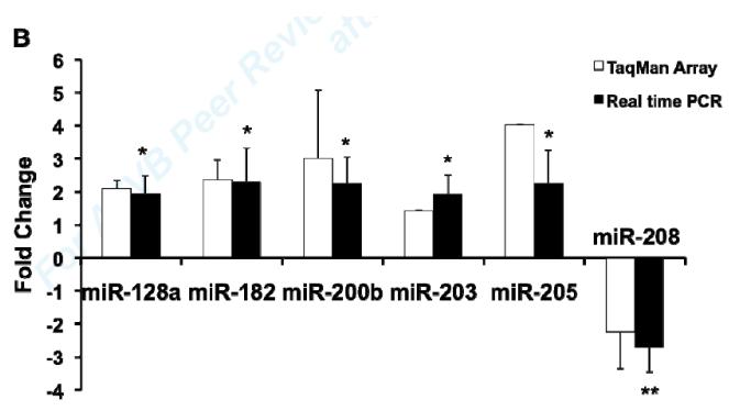 Fig1