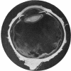 i13