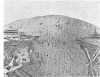 i19