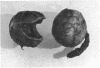 i9