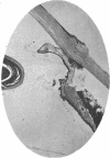 i13