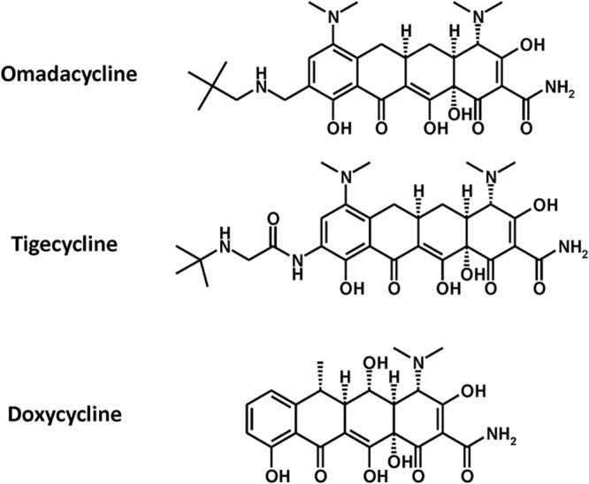 FIG 1