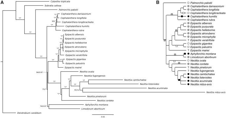 Fig. 1.