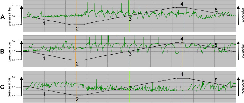 Fig. 3