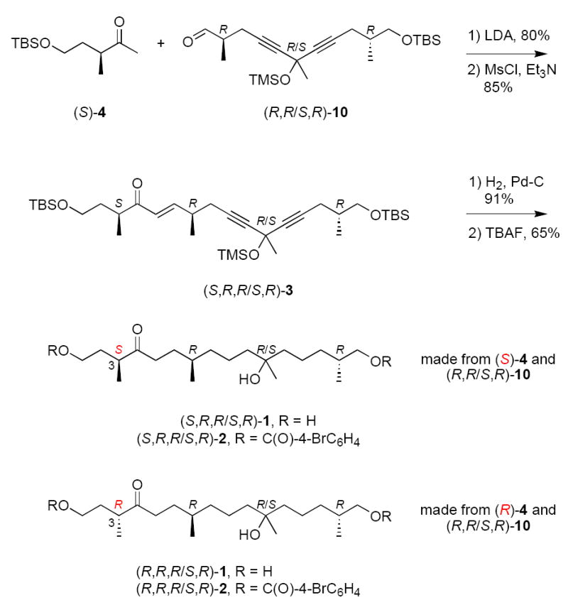 Scheme 3